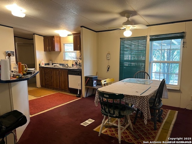 326 W Pr 324 Jourdanton TX 78026