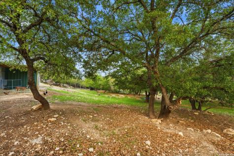 101 Candy Lane Boerne TX 78006
