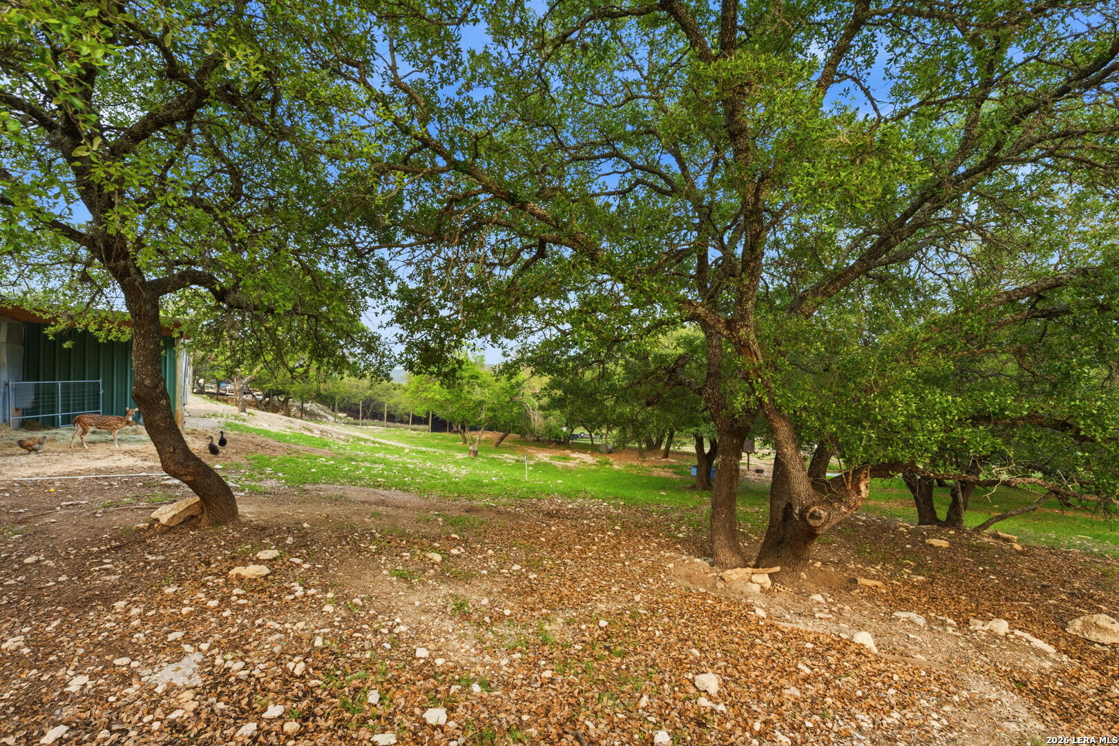 101 Candy Lane Boerne TX 78006