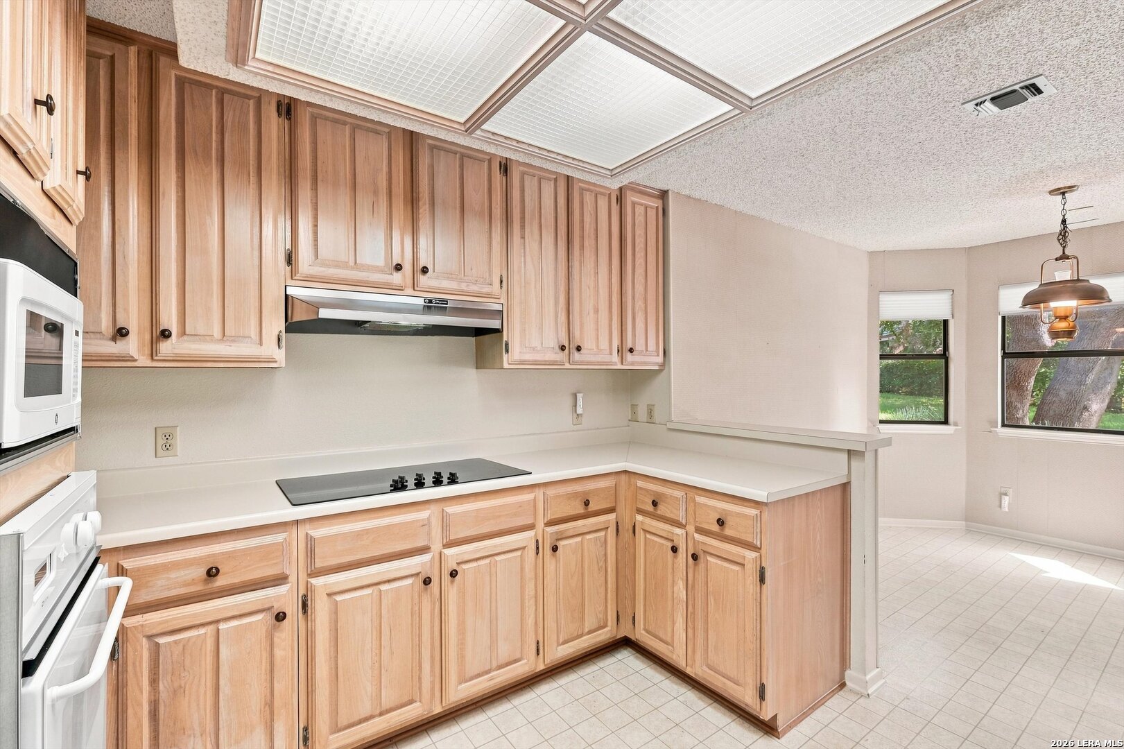8815 Rustling Breeze San Antonio TX 78254