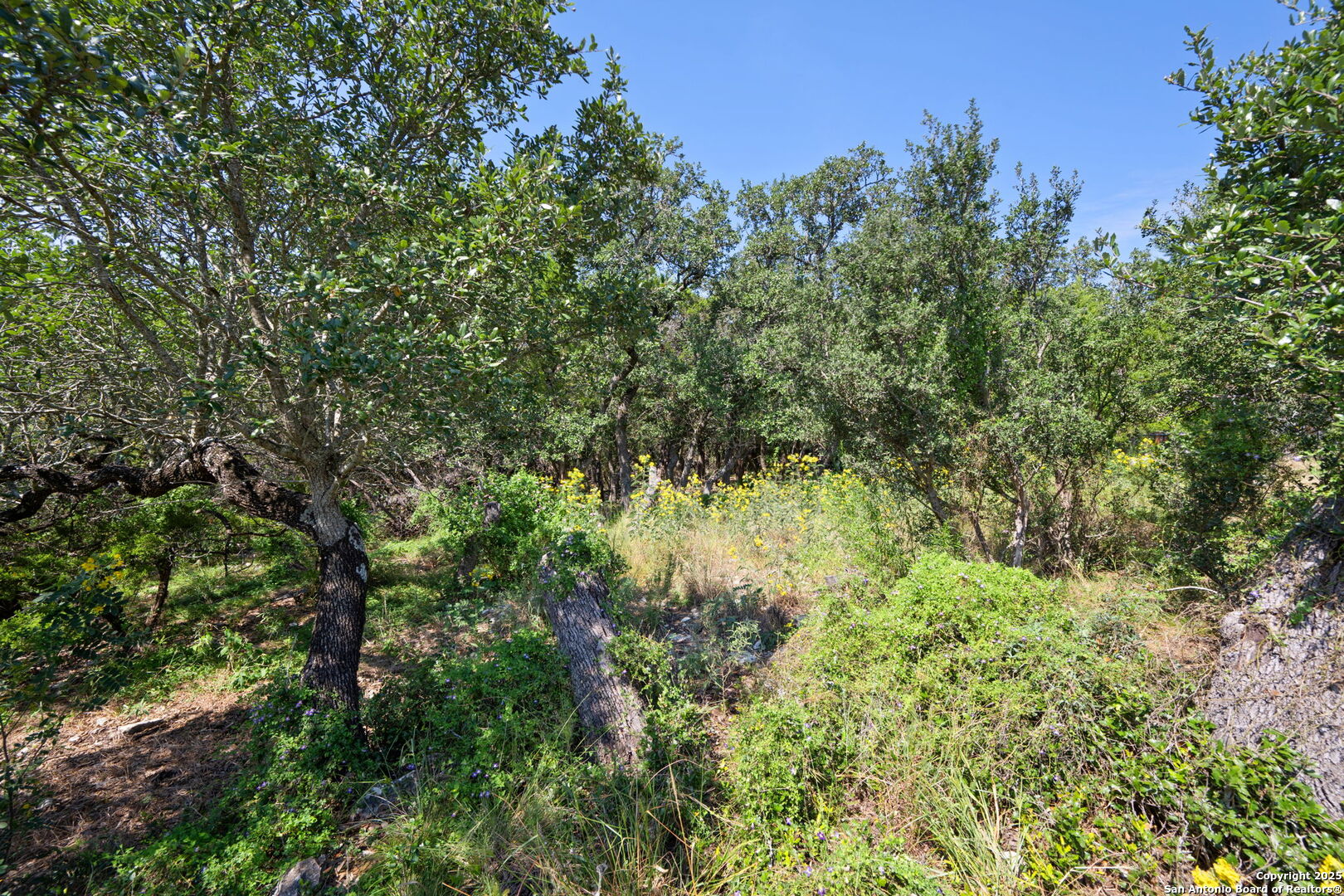 1056 Flagstone San Antonio TX 78260