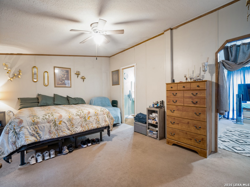 264 County Road 7710 Devine TX 78016