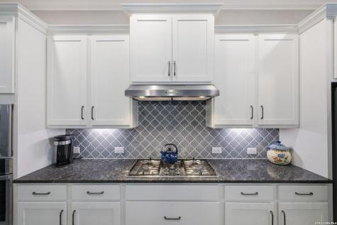 22815 Grande Vista San Antonio TX 78261