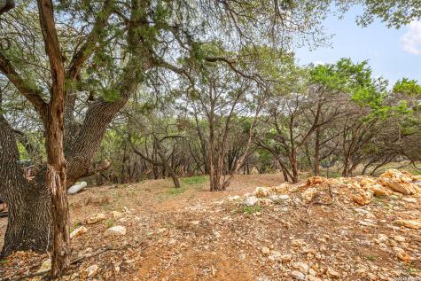 1454 Laurie Drive Canyon Lake TX 78133