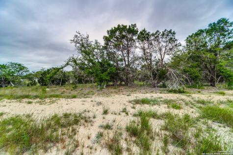 980 Scarlett Ridge Bulverde TX 78163