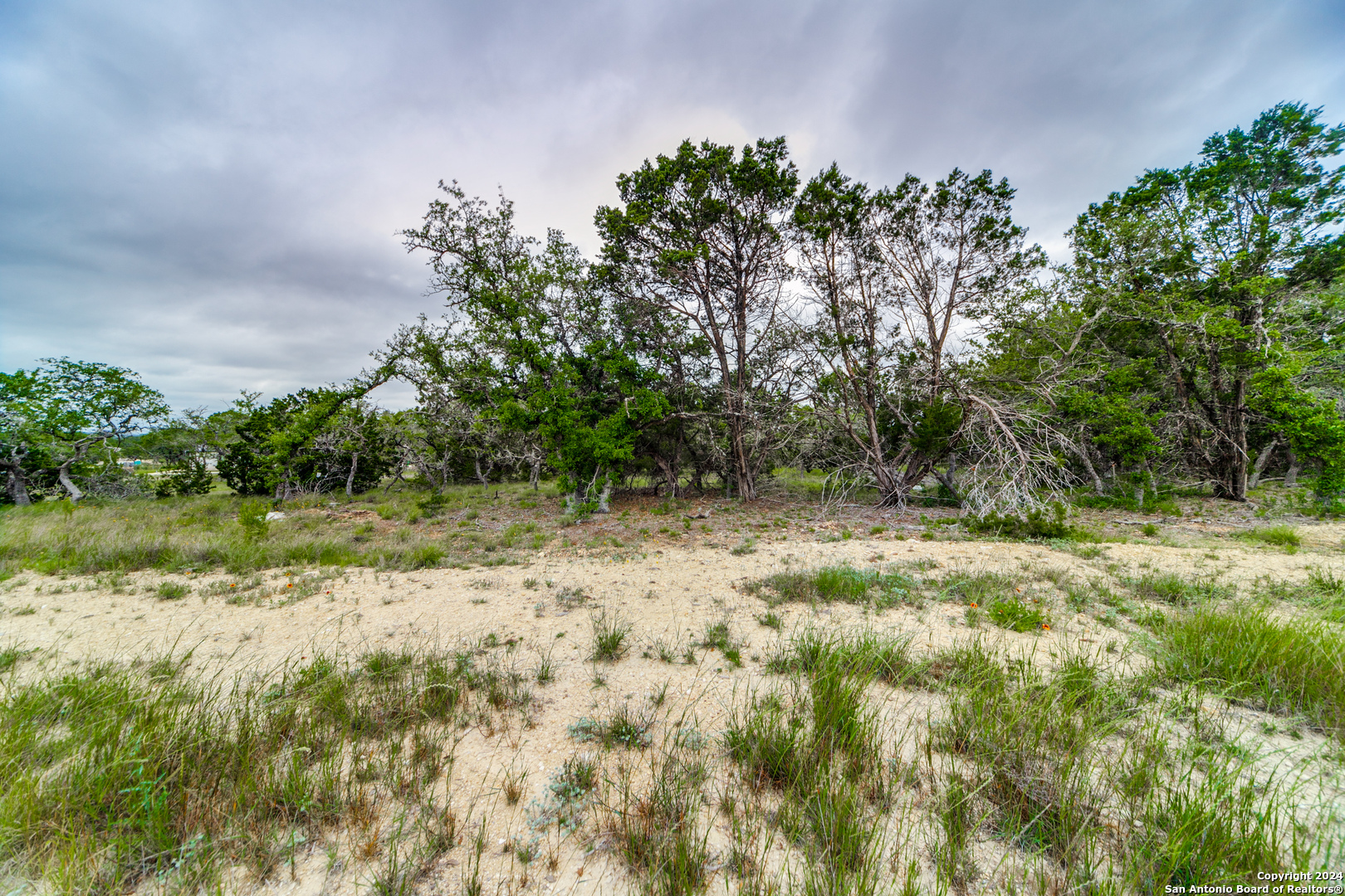980 Scarlett Ridge Bulverde TX 78163