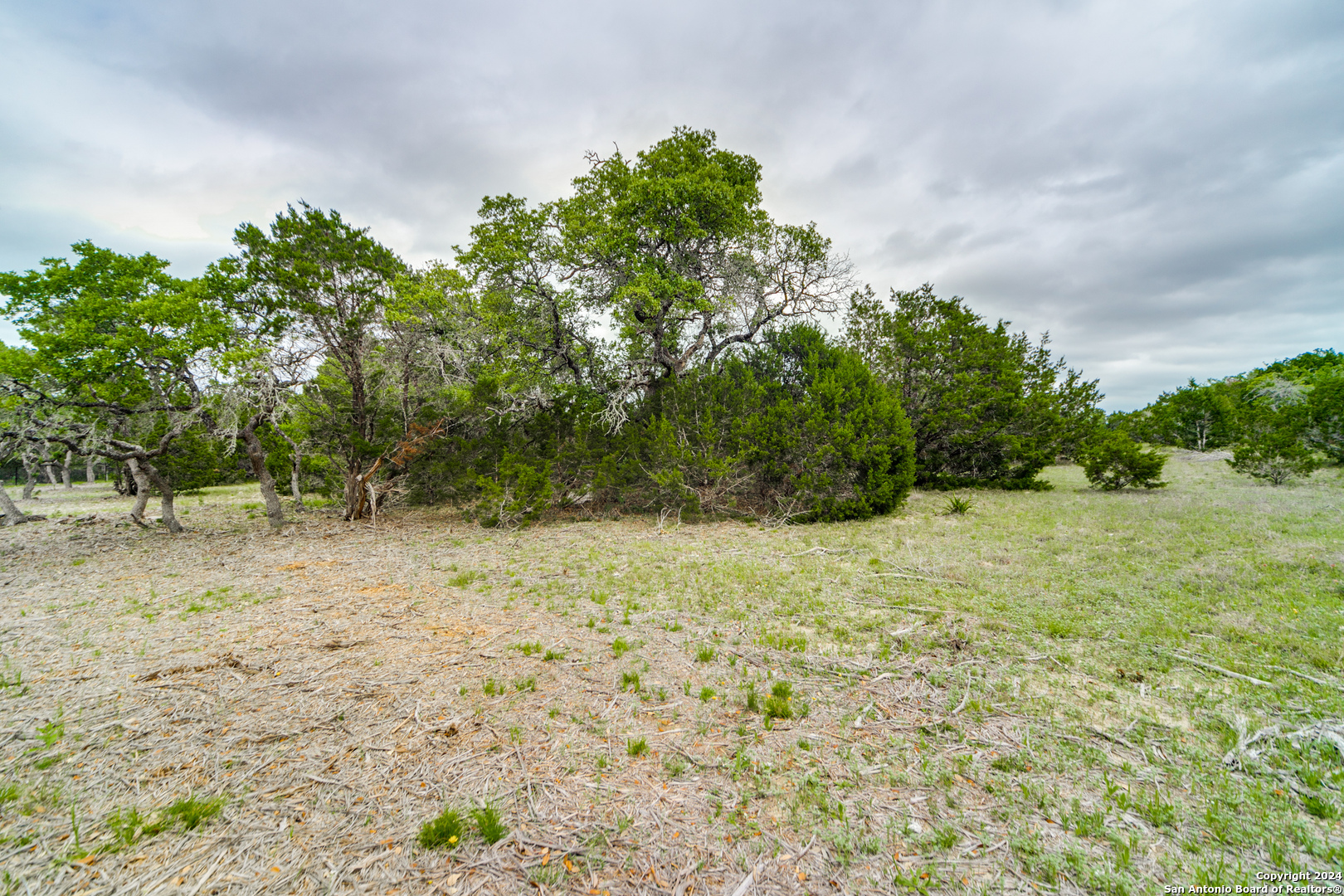 980 Scarlett Ridge Bulverde TX 78163