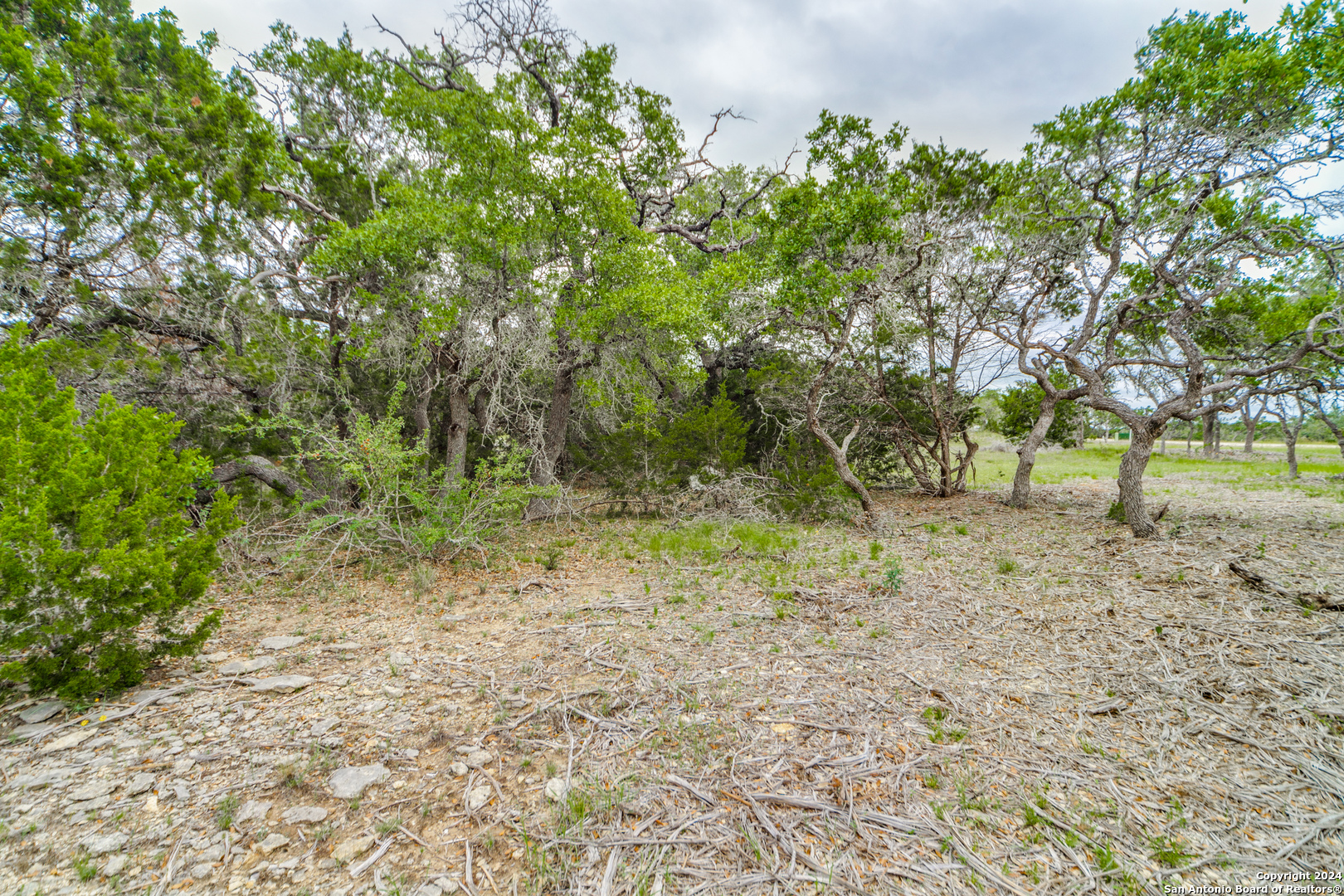 980 Scarlett Ridge Bulverde TX 78163