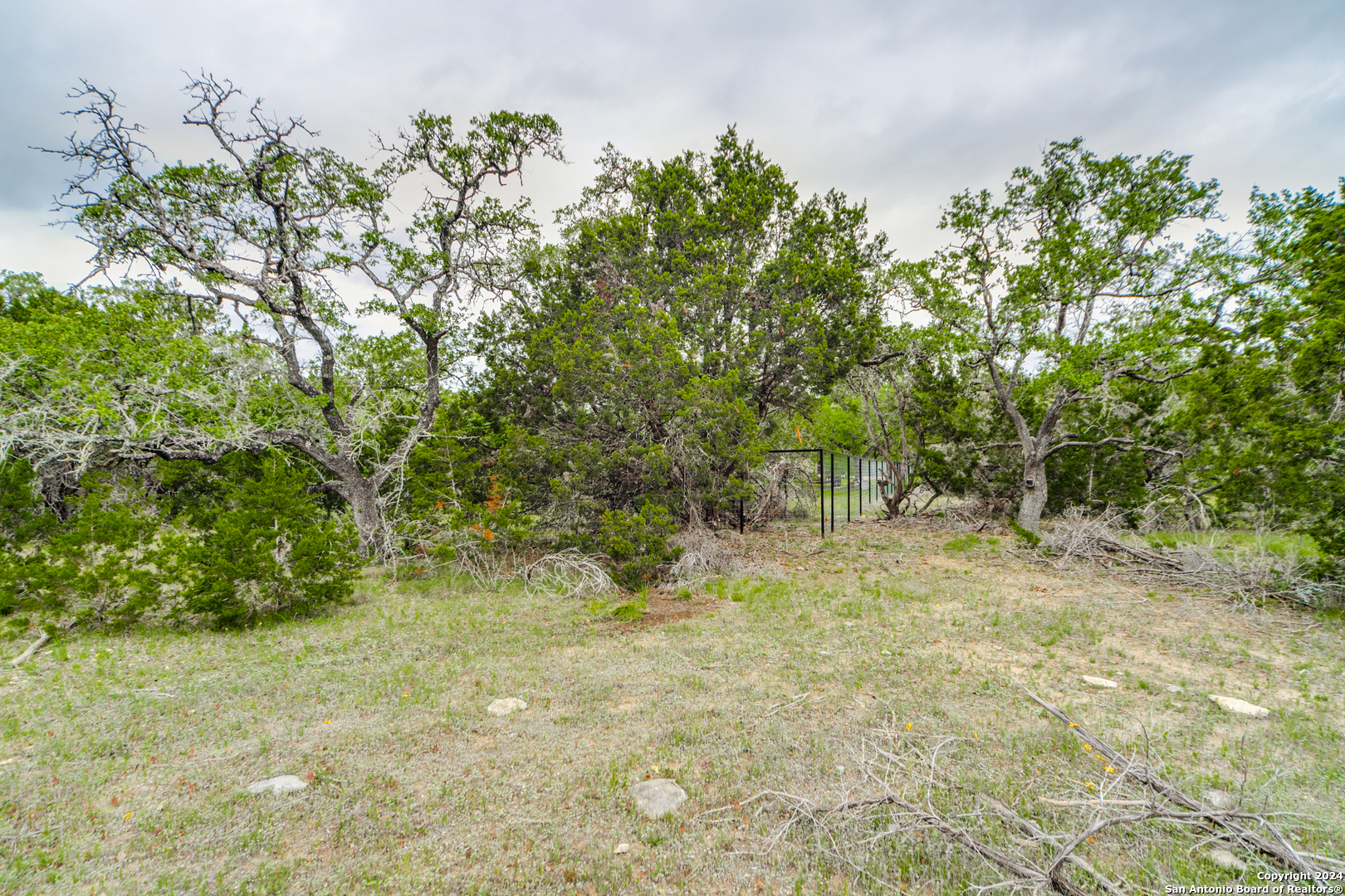 980 Scarlett Ridge Bulverde TX 78163