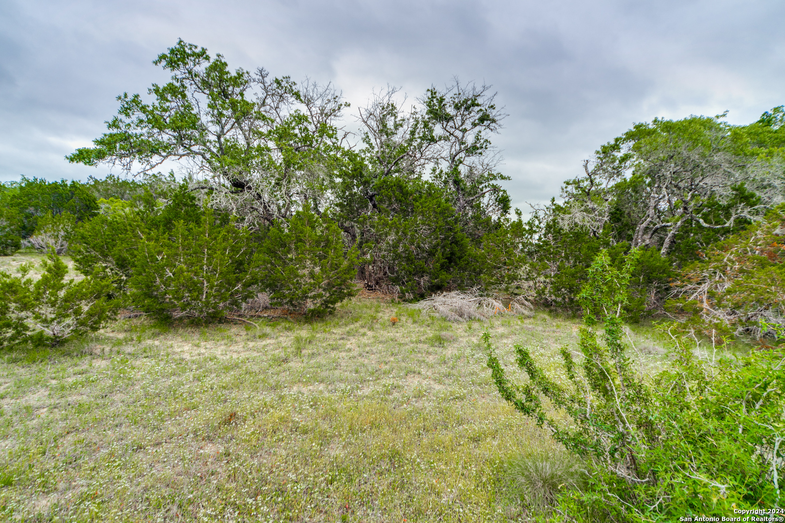 980 Scarlett Ridge Bulverde TX 78163