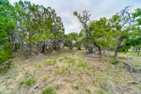 980 Scarlett Ridge Bulverde TX 78163