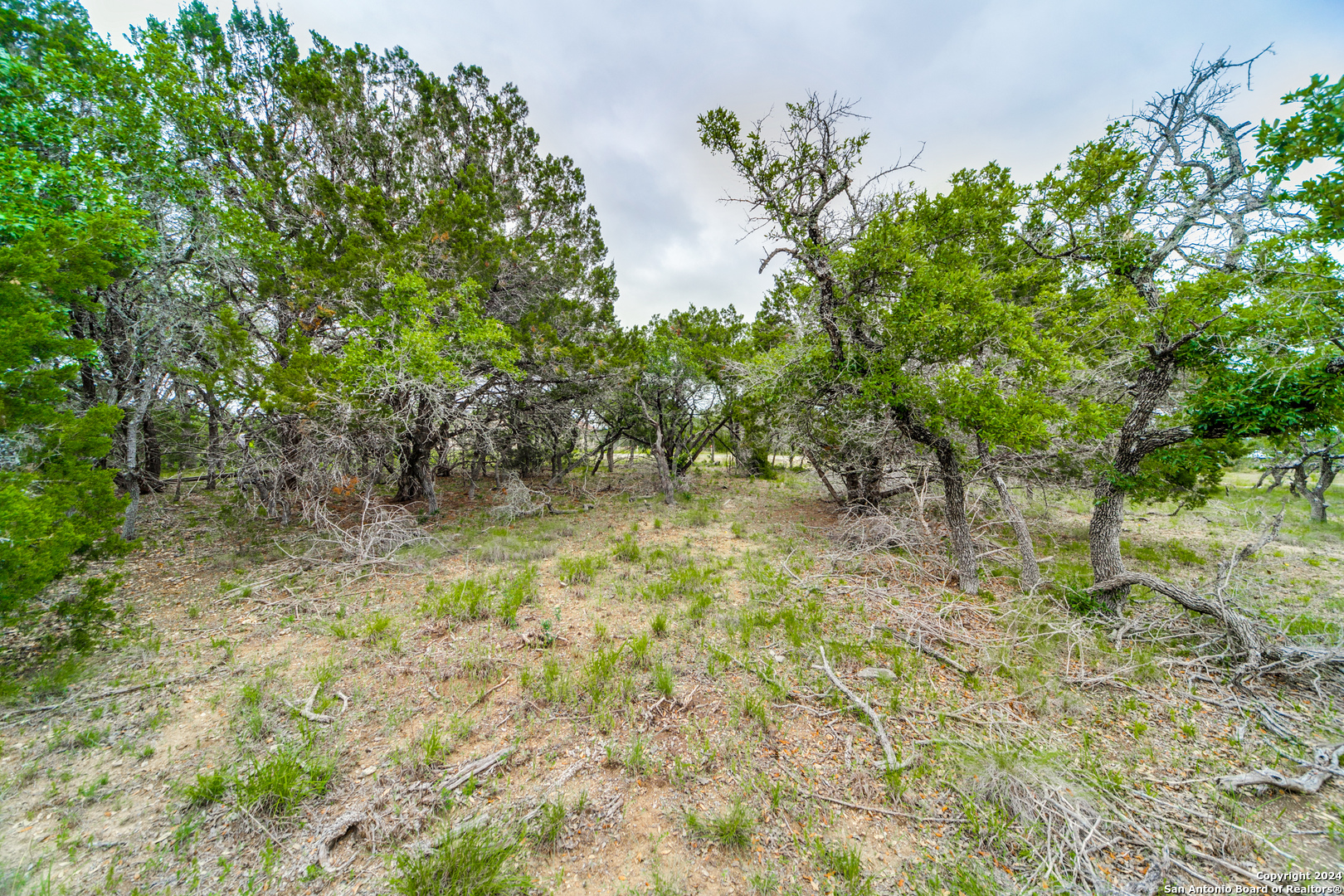 980 Scarlett Ridge Bulverde TX 78163
