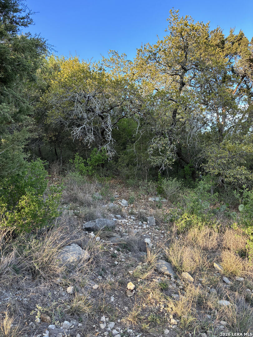 849 Santa Cruz New Braunfels TX 78132
