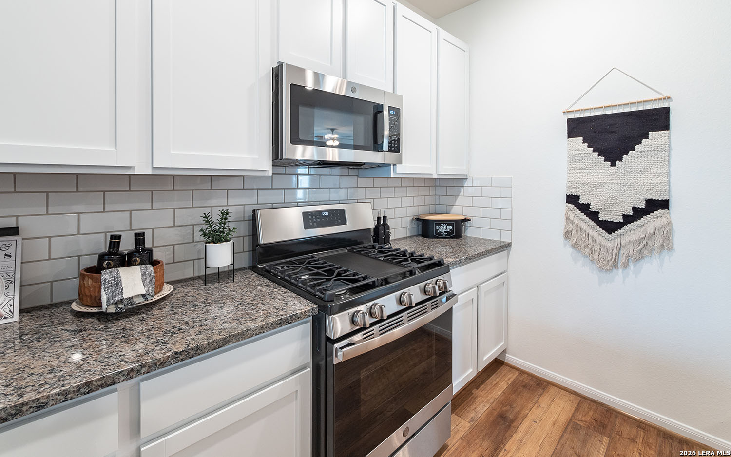 11163 Hollinger Circle Converse TX 78109