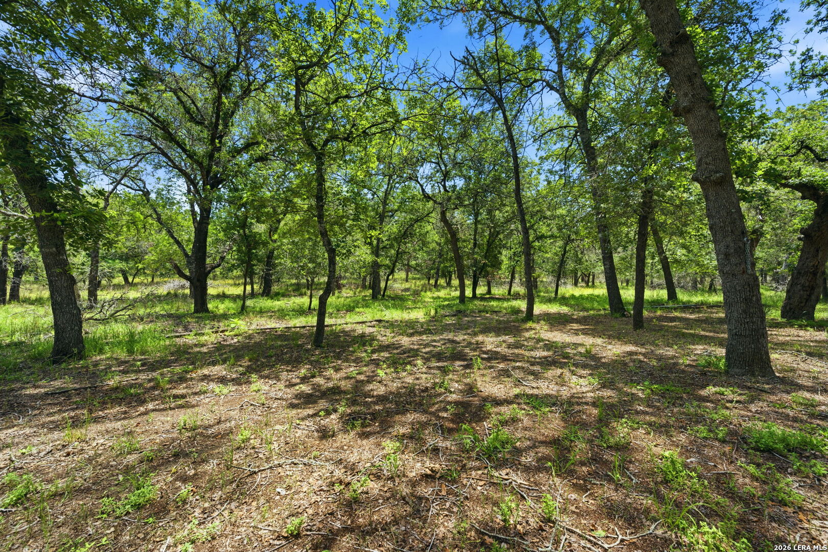 216 Oak Grove La Vernia TX 78121