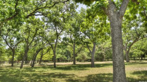 727 Leakey Springs Road Leakey TX 78873