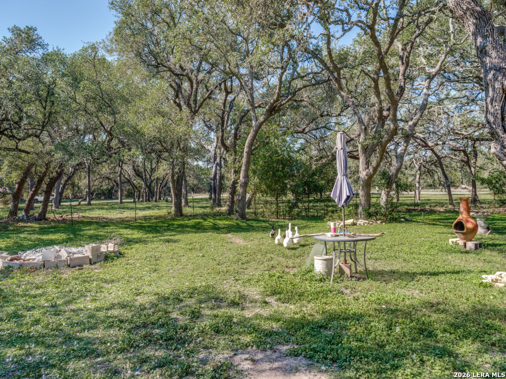1705 Rolling Hills Road Blanco TX 78606