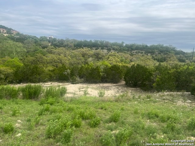 10006 Ivory Canyon San Antonio TX 78255