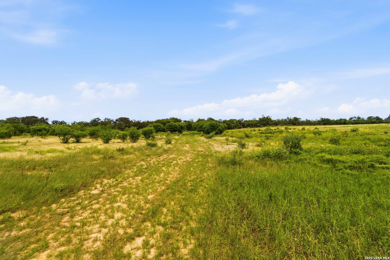 2194 S Ranch Road 187 Sabinal TX 78881