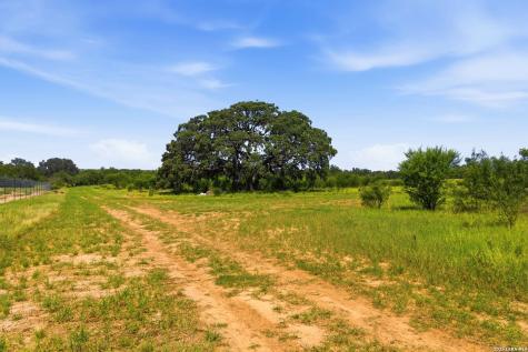 2194 S Ranch Road 187 Sabinal TX 78881