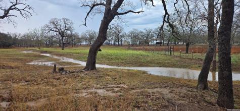 1298 County Road 425 Stockdale TX 78160