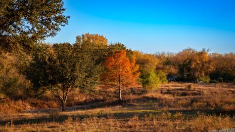 163 County Road 283 Harwood TX 78632