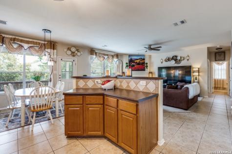 141 Falcon Crossing Cibolo TX 78108
