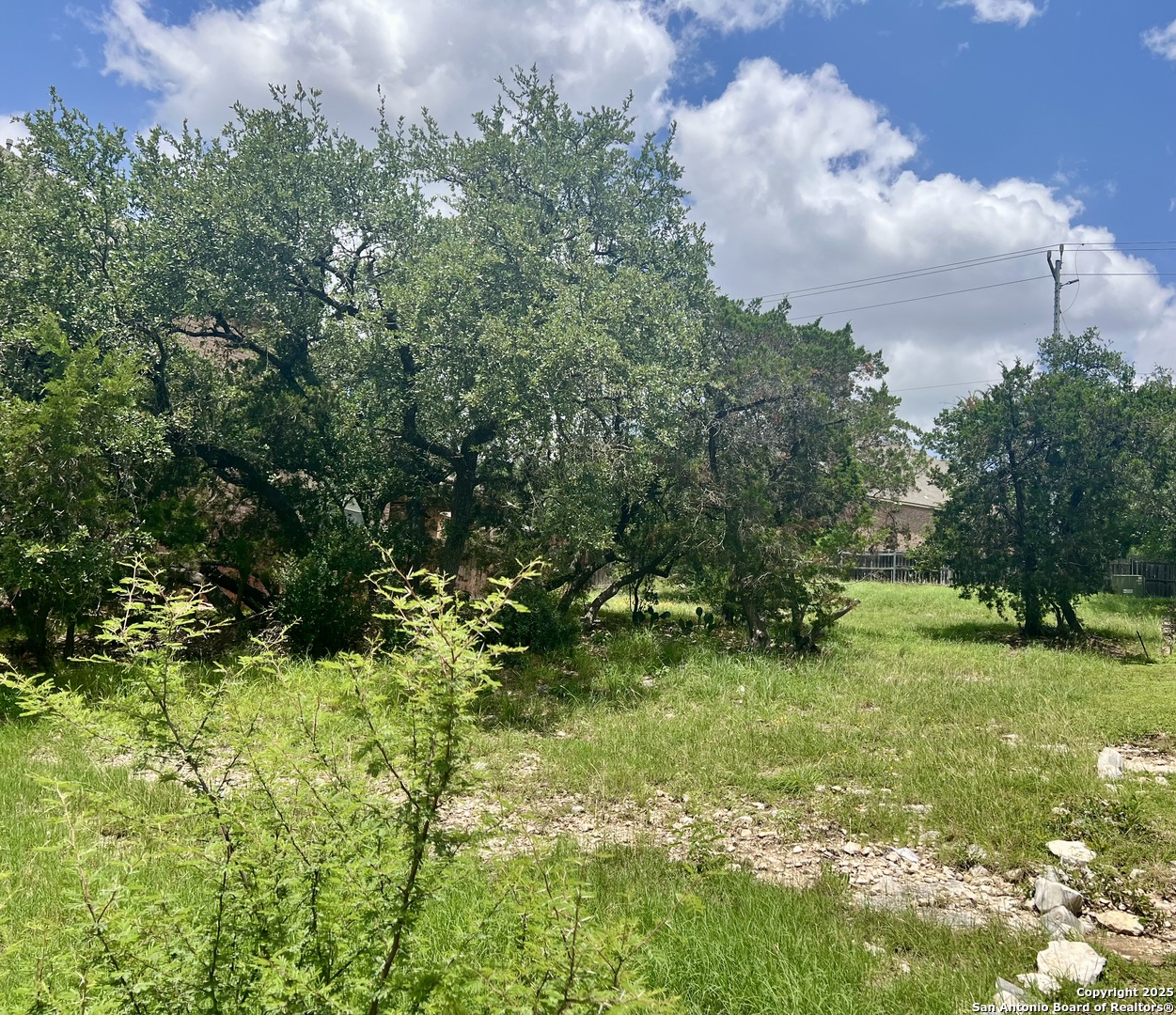 24002 Viento Oaks San Antonio TX 78260