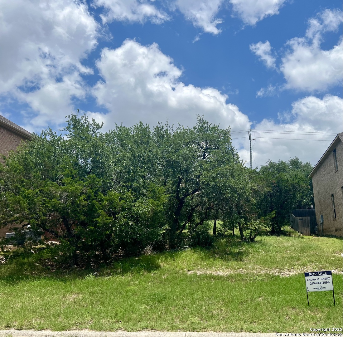 24002 Viento Oaks San Antonio TX 78260