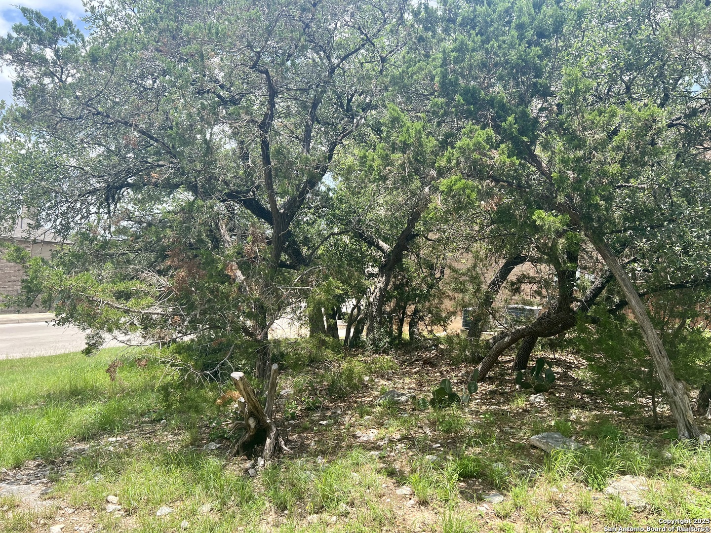 24002 Viento Oaks San Antonio TX 78260