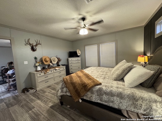 120 Viridian View Pleasanton TX 78064