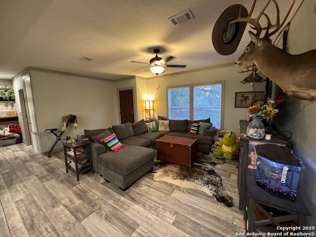120 Viridian View Pleasanton TX 78064