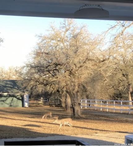 837 Paddy Road Floresville TX 78114