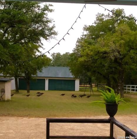 837 Paddy Road Floresville TX 78114