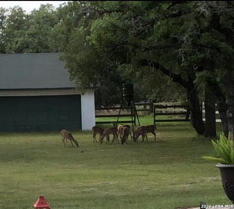 837 Paddy Road Floresville TX 78114
