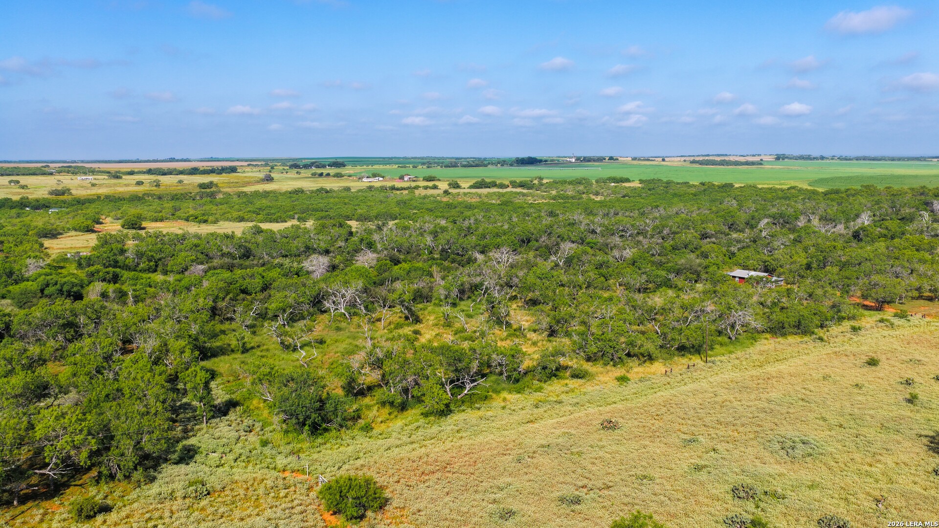 13.87+/- Acres County Road 314 Charlotte TX 78011