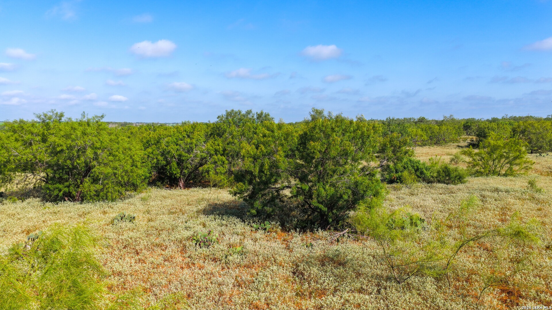 13.87+/- Acres County Road 314 Charlotte TX 78011