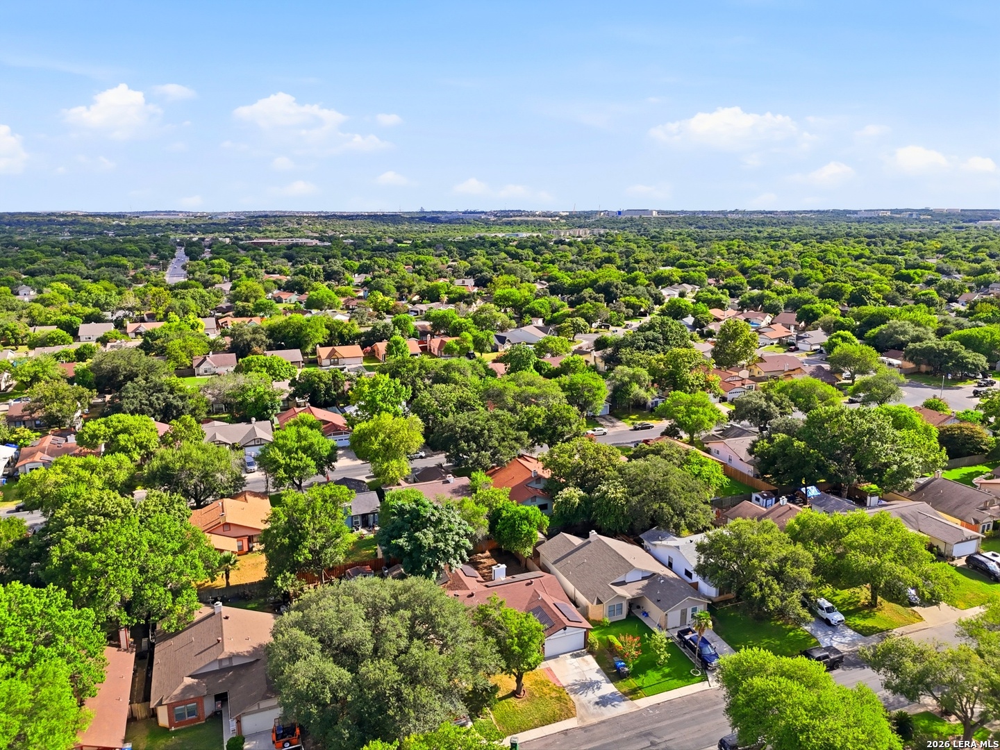 9134 Tree Village San Antonio TX 78250