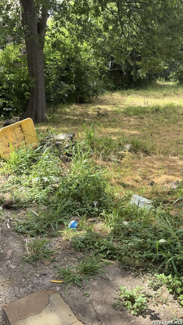 718 Green San Antonio TX 78225