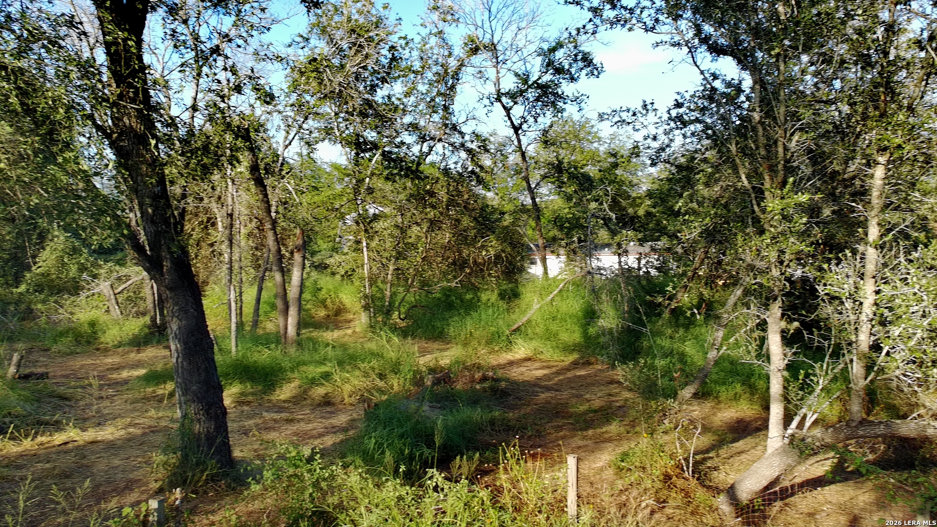 23798 Mathis Road Elmendorf TX 78112