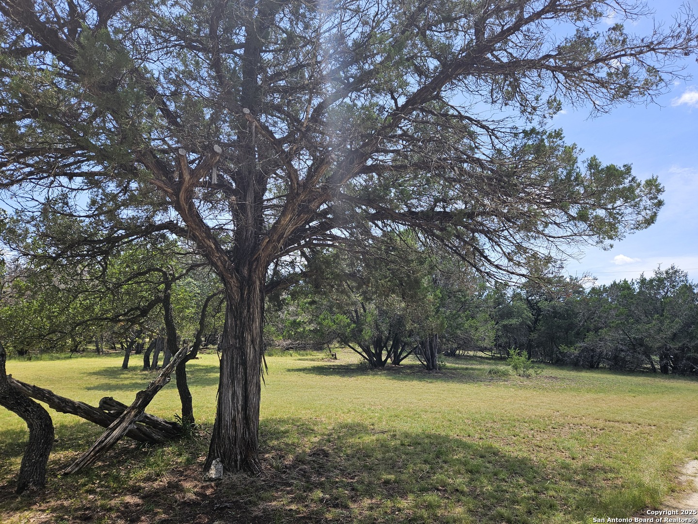 29 Green Cedar Road Boerne TX 78006