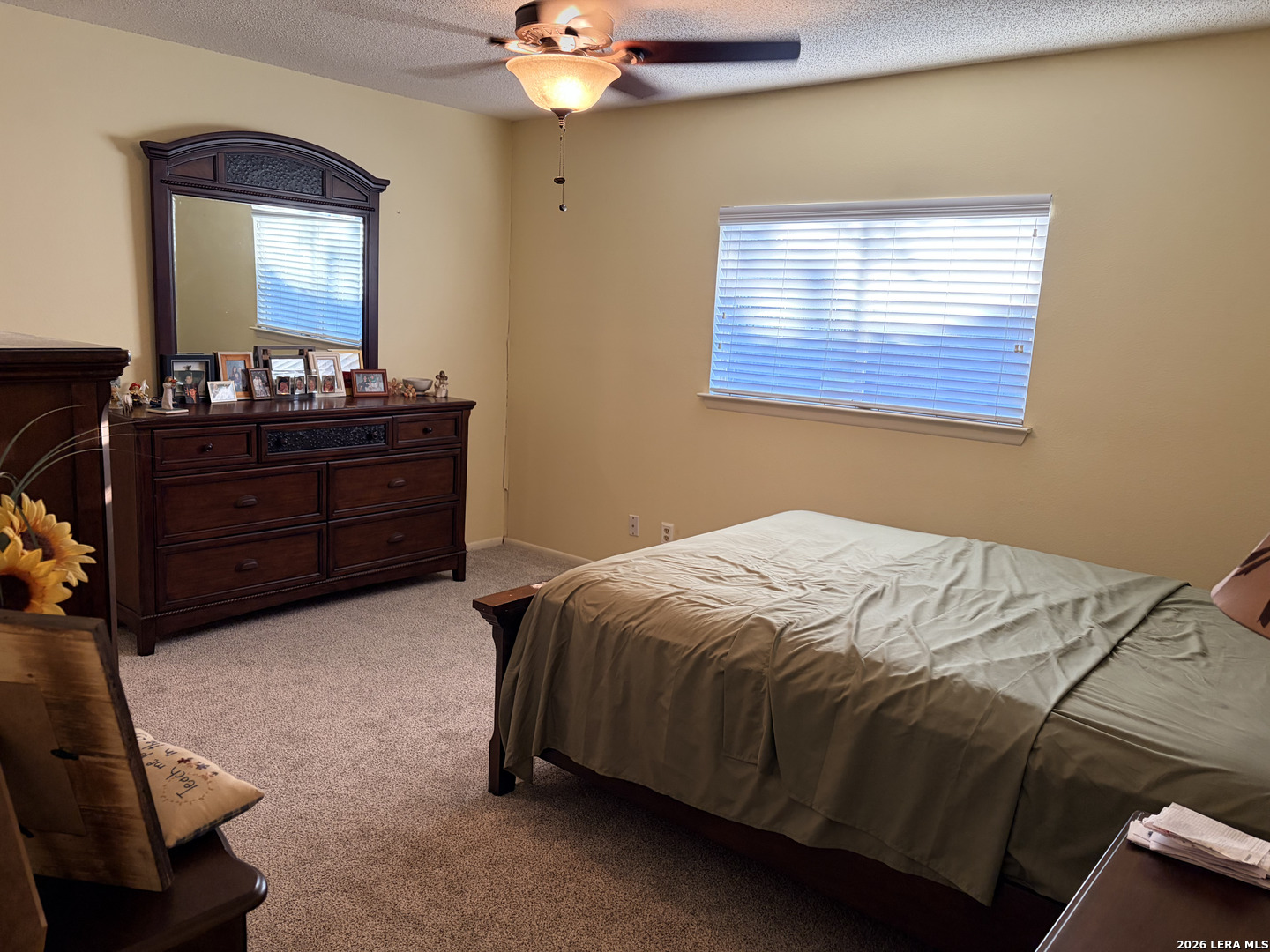 9850 Misty Plain Drive San Antonio TX 78245