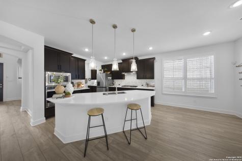 1617 Cullanne Park Bulverde TX 78163