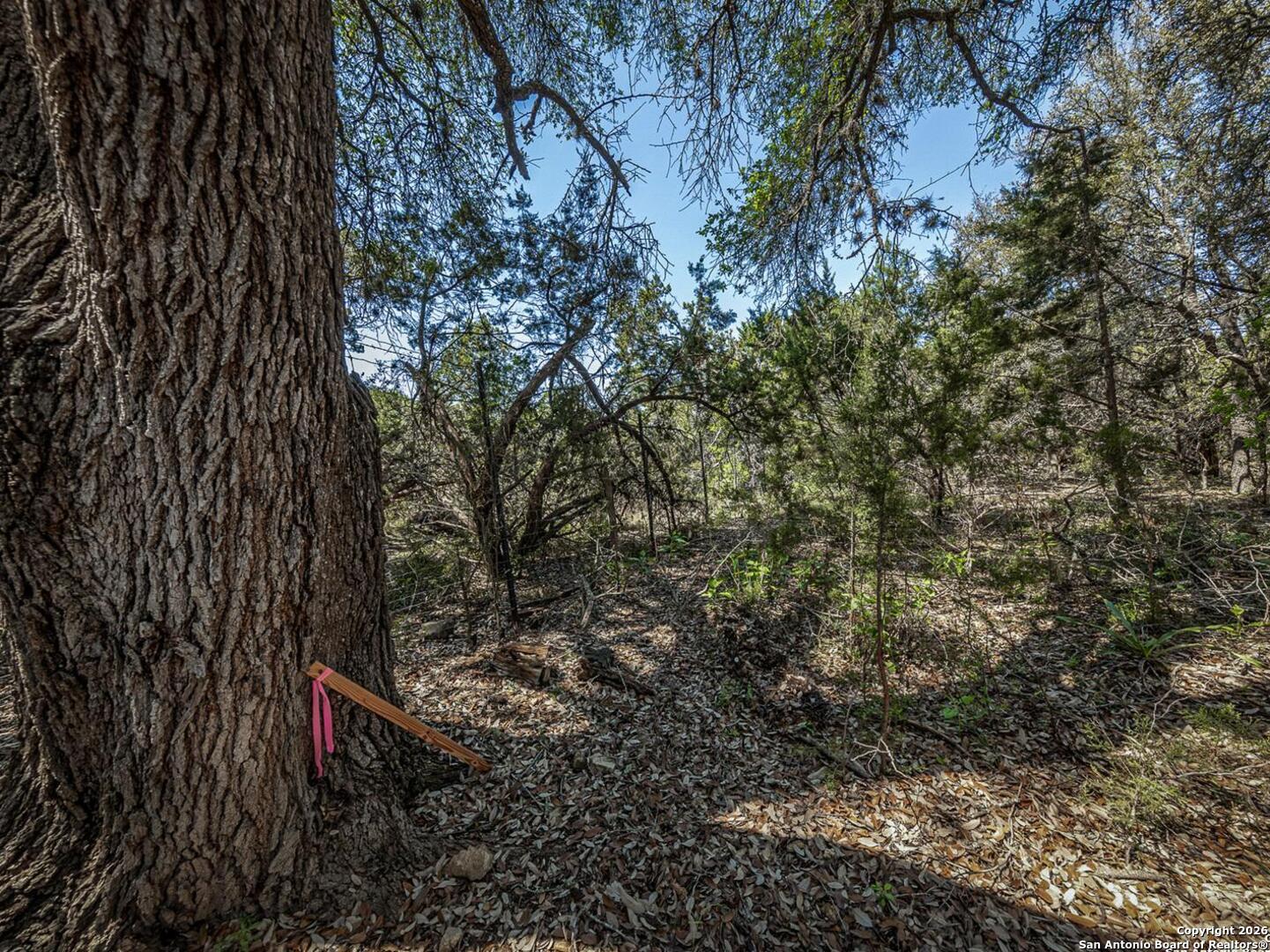162 Scarlet Canyon Lake TX 78133