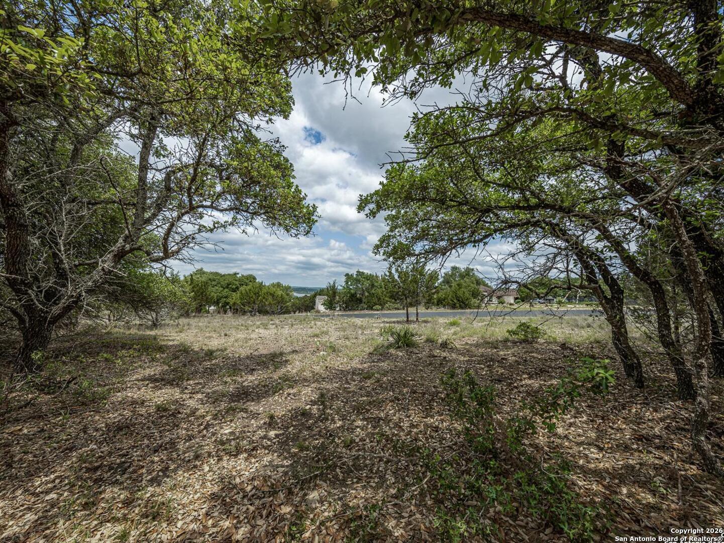 162 Scarlet Canyon Lake TX 78133