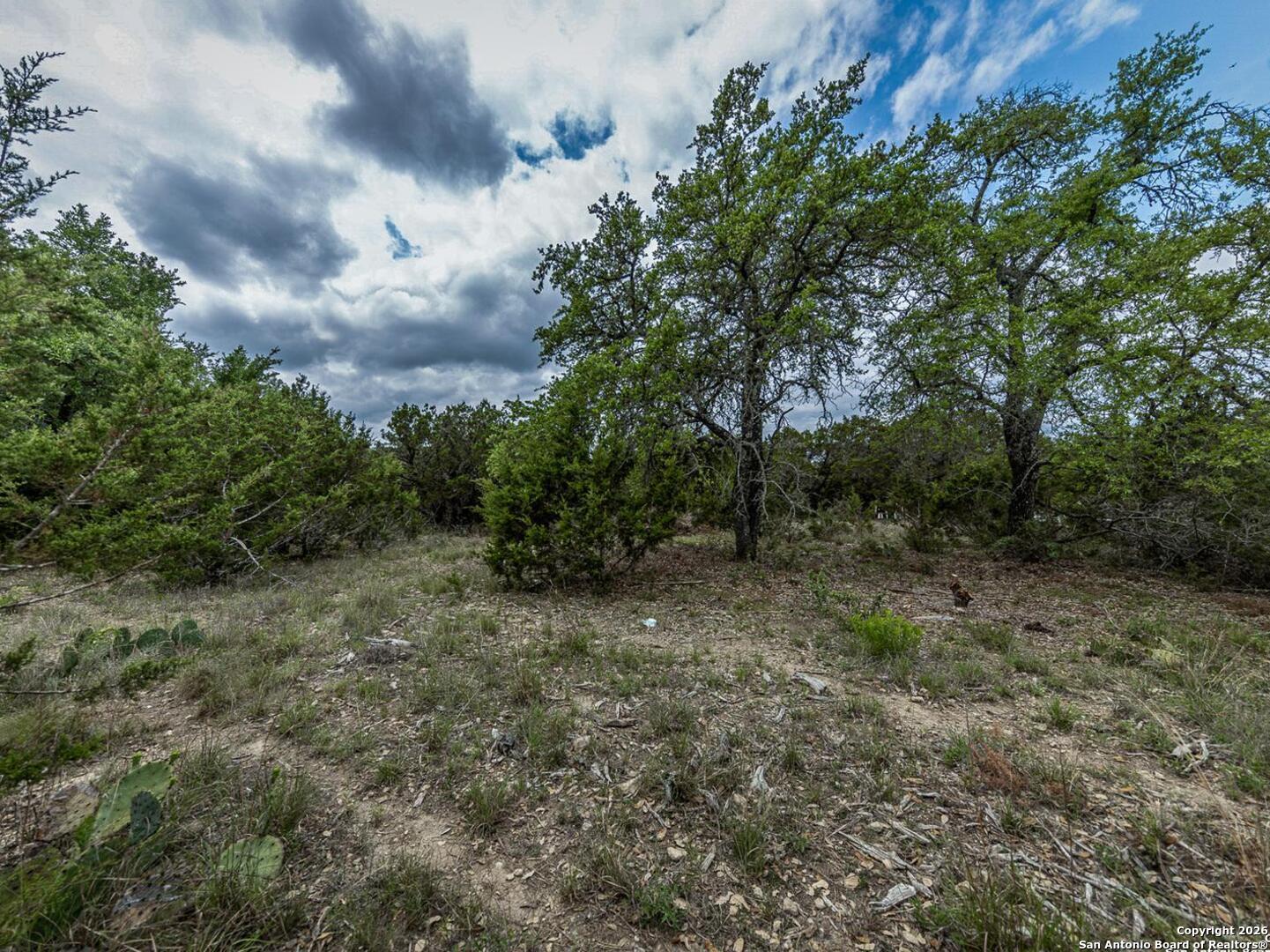 162 Scarlet Canyon Lake TX 78133