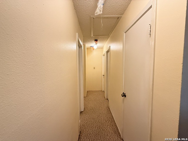 4538 Misty Springs Drive San Antonio TX 78244