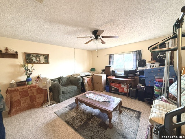 4538 Misty Springs Drive San Antonio TX 78244