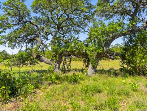 163 N Stallion Estates Drive Spring Branch TX 78070