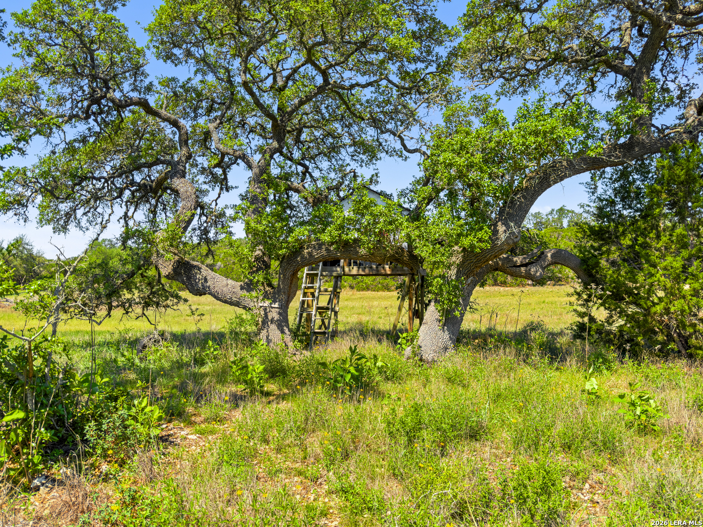 163 N Stallion Estates Drive Spring Branch TX 78070